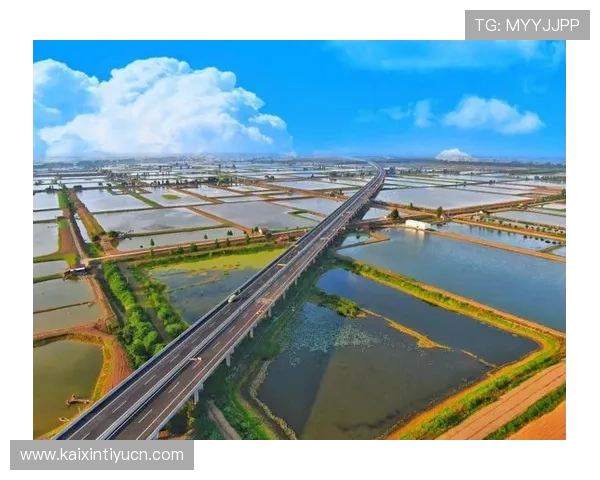 天空真人平台实现跨平台互通提供更加便捷的娱乐体验 天空真人平台实现跨平台互通提供更加便捷的娱乐体验