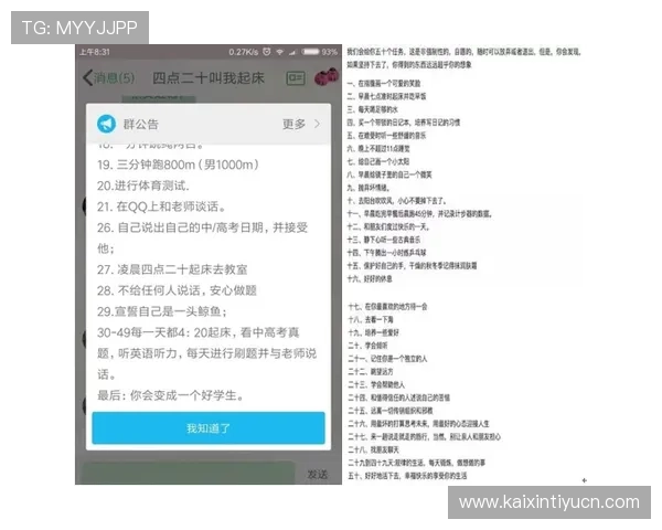 蓝鲸中文站详细介绍游戏社区互动功能帮助玩家交流心得与提升游戏水平